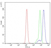 Flow cytometry testing of human Raji cells with GGA3 antibody at 1ug/million cells (blocked with goat sera); Red=cells alone, Green=isotype control, Blue= GGA3 antibody.