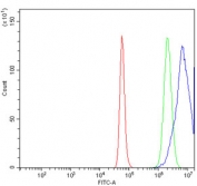 Flow cytometry testing of human A431 cells with Geminin antibody at 1ug/million cells (blocked with goat sera); Red=cells alone, Green=isotype control, Blue= Geminin antibody.
