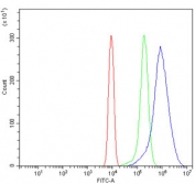 Flow cytometry testing of mouse ANA-1 cells with Hjurp antibody at 1ug/million cells (blocked with goat sera); Red=cells alone, Green=isotype control, Blue= Hjurp antibody.