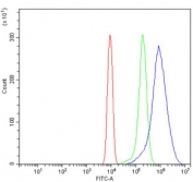 Flow cytometry testing of mouse ANA-1 cells with Hjurp antibody at 1ug/million cells (blocked with goat sera); Red=cells alone, Green=isotype control, Blue= Hjurp antibody.