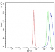 Flow cytometry testing of human A431 cells with JUNB antibody at 1ug/million cells (blocked with goat sera); Red=cells alone, Green=isotype control, Blue= JUNB antibody.