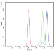 Flow cytometry testing of human Raji cells with ASK1 antibody at 1ug/million cells (blocked with goat sera); Red=cells alone, Green=isotype control, Blue= ASK1 antibody.