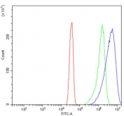 Flow cytometry testing of human HeLa cells with FAM129B antibody at 1ug/million cells (blocked with goat sera); Red=cells alone, Green=isotype control, Blue= FAM129B antibody.