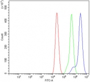 Flow cytometry testing of mouse RAW264.7 cells with PAK1 antibody at 1ug/million cells (blocked with goat sera); Red=cells alone, Green=isotype control, Blue= PAK1 antibody.