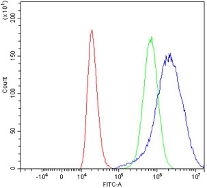Flow cytometry testing of human 293T cells with SLC5A8 antibody at 1ug/million cells (blocked with goat sera); Red=cells alone, Green=isotype control, Blue= SLC5A8 antibody.~