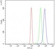 Flow cytometry testing of mouse ANA-1 cells with Sox11 antibody at 1ug/million cells (blocked with goat sera); Red=cells alone, Green=isotype control, Blue= Sox11 antibody.