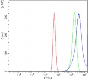 Flow cytometry testing of human A431 cells with SPHK1 antibody at 1ug/million cells (blocked with goat sera); Red=cells alone, Green=isotype control, Blue= SPHK1 antibody.