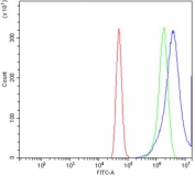 Flow cytometry testing of human A431 cells with SPHK1 antibody at 1ug/million cells (blocked with goat sera); Red=cells alone, Green=isotype control, Blue= SPHK1 antibody.