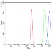 Flow cytometry testing of human A431 cells with SSB antibody at 1ug/million cells (blocked with goat sera); Red=cells alone, Green=isotype control, Blue= SSB antibody.