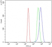 Flow cytometry testing of human HL60 cells with TAF8 antibody at 1ug/million cells (blocked with goat sera); Red=cells alone, Green=isotype control, Blue= TAF8 antibody.