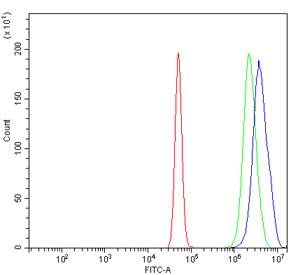 Flow cytometry testing of human A431 cells with TAF8 antibody at 1ug/million cells (blocked with goat sera); Red=cells alone, Green=isotype control, Blue= TAF8 antibody.