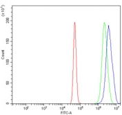 Flow cytometry testing of human A431 cells with TAF8 antibody at 1ug/million cells (blocked with goat sera); Red=cells alone, Green=isotype control, Blue= TAF8 antibody.