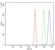 Flow cytometry testing of rat RH35 cells with NIRF antibody at 1ug/million cells (blocked with goat sera); Red=cells alone, Green=isotype control, Blue= NIRF antibody.