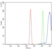 Flow cytometry testing of human HeLa cells with NIRF antibody at 1ug/million cells (blocked with goat sera); Red=cells alone, Green=isotype control, Blue= NIRF antibody.