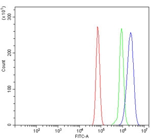 Flow cytometry testing of rat RH35 cells with RAB11A antibody at 1ug/million cells (blocked with goat sera); Red=cells alone, Green=isotype control, Blue= RAB11A antibody.