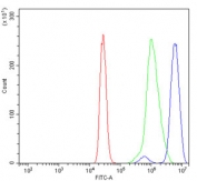 Flow cytometry testing of human U937 cells with RAB11A antibody at 1ug/million cells (blocked with goat sera); Red=cells alone, Green=isotype control, Blue= RAB11A antibody.