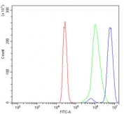 Flow cytometry testing of human U937 cells with RAB11A antibody at 1ug/million cells (blocked with goat sera); Red=cells alone, Green=isotype control, Blue= RAB11A antibody.