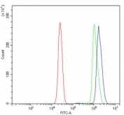 Flow cytometry testing of human U937 cells with PPIE antibody at 1ug/million cells (blocked with goat sera); Red=cells alone, Green=isotype control, Blue= PPIE antibody.