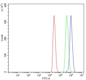 Flow cytometry testing of mouse RAW264.7 cells with LSM8 antibody at 1ug/million cells (blocked with goat sera); Red=cells alone, Green=isotype control, Blue= LSM8 antibody.