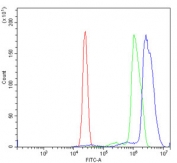 Flow cytometry testing of human U937 cells with PSMC3 antibody at 1ug/million cells (blocked with goat sera); Red=cells alone, Green=isotype control, Blue= PSMC3 antibody.