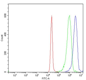 Flow cytometry testing of human JK-1 cells with Replication Protein A2 antibody at 1ug/million cells (blocked with goat sera); Red=cells alone, Green=isotype control, Blue= Replication Protein A2 antibody.