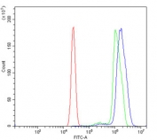 Flow cytometry testing of human U937 cells with DHODH antibody at 1ug/million cells (blocked with goat sera); Red=cells alone, Green=isotype control, Blue= DHODH antibody.