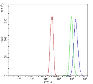 Flow cytometry testing of human SiHa cells with Cytochrome P450 Reductase antibody at 1ug/million cells (blocked with goat sera); Red=cells alone, Green=isotype control, Blue= Cytochrome P450 Reductase antibody.