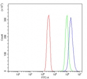 Flow cytometry testing of human SiHa cells with Cytochrome P450 Reductase antibody at 1ug/million cells (blocked with goat sera); Red=cells alone, Green=isotype control, Blue= Cytochrome P450 Reductase antibody.