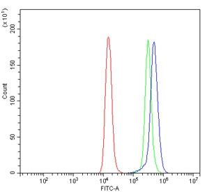 Flow cytometry testing of human HepG2 cells with FGG antibody at 1ug/million cells (blocked with goat sera); Red=cells alone, Green=isotype control, Blue= FGG antibody.