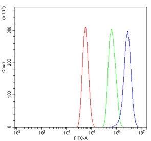 Flow cytometry testing of human U-87 MG cells with EIF4A1 antibody at 1ug/million cells (blocked with goat sera); Red=cells alone, Green=isotype control, Blue= EIF4A1 antibody.