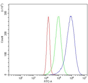 Flow cytometry testing of human Jurkat cells with AASS antibody at 1ug/million cells (blocked with goat sera); Red=cells alone, Green=isotype control, Blue= AASS antibody.