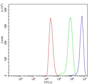 Flow cytometry testing of human ThP-1 cells with BZW2 antibody at 1ug/million cells (blocked with goat sera); Red=cells alone, Green=isotype control, Blue= BZW2 antibody.