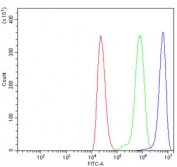 Flow cytometry testing of human ThP-1 cells with BZW2 antibody at 1ug/million cells (blocked with goat sera); Red=cells alone, Green=isotype control, Blue= BZW2 antibody.