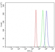 Flow cytometry testing of human SiHa cells with CENPH antibody at 1ug/million cells (blocked with goat sera); Red=cells alone, Green=isotype control, Blue= CENPH antibody.