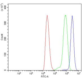 Flow cytometry testing of human ThP-1 cells with CLASP2 antibody at 1ug/million cells (blocked with goat sera); Red=cells alone, Green=isotype control, Blue= CLASP2 antibody.~