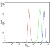 Flow cytometry testing of human ThP-1 cells with CLASP2 antibody at 1ug/million cells (blocked with goat sera); Red=cells alone, Green=isotype control, Blue= CLASP2 antibody.