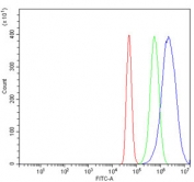 Flow cytometry testing of human A431 cells with CRTC3 antibody at 1ug/million cells (blocked with goat sera); Red=cells alone, Green=isotype control, Blue= CRTC3 antibody.