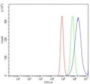 Flow cytometry testing of human A549 cells with CYB5B antibody at 1ug/million cells (blocked with goat sera); Red=cells alone, Green=isotype control, Blue= CYB5B antibody.