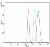 Flow cytometry testing of human U937 cells with NOX2/gp91phox antibody at 1ug/million cells (blocked with goat sera); Red=cells alone, Green=isotype control, Blue= NOX2/gp91phox antibody.