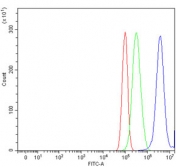 Flow cytometry testing of human PC-3 cells with E2F1 antibody at 1ug/million cells (blocked with goat sera); Red=cells alone, Green=isotype control, Blue= E2F1 antibody.