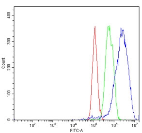 Flow cytometry testing of human HepG2 cells with ECSIT antibody at 1ug/million cells (blocked with goat sera); Red=cells alone, Green=isotype control, Blue= ECSIT antibody.