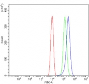 Flow cytometry testing of mouse RAW264.7 cells with EIF3E antibody at 1ug/million cells (blocked with goat sera); Red=cells alone, Green=isotype control, Blue= EIF3E antibody.