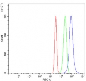 Flow cytometry testing of human SiHa cells with ERLEC1 antibody at 1ug/million cells (blocked with goat sera); Red=cells alone, Green=isotype control, Blue= ERLEC1 antibody.