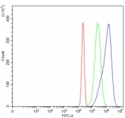 Flow cytometry testing of human HeLa cells with RRP4 antibody at 1ug/million cells (blocked with goat sera); Red=cells alone, Green=isotype control, Blue= RRP4 antibody.