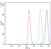 Flow cytometry testing of human ThP-1 cells with EXOSC8 antibody at 1ug/million cells (blocked with goat sera); Red=cells alone, Green=isotype control, Blue= EXOSC8 antibody.