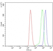 Flow cytometry testing of human ThP-1 cells with Fatty-acid amide hydrolase 1 antibody at 1ug/million cells (blocked with goat sera); Red=cells alone, Green=isotype control, Blue= Fatty-acid amide hydrolase 1 antibody.