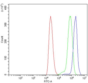 Flow cytometry testing of human ThP-1 cells with Fatty-acid amide hydrolase 1 antibody at 1ug/million cells (blocked with goat sera); Red=cells alone, Green=isotype control, Blue= Fatty-acid amide hydrolase 1 antibody.