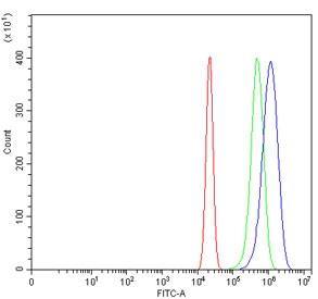 Flow cytometry testing of human U-2 OS cells with FBL antibody at 1ug/million cells (blocked with goat sera); Red=cells alone, Green=isotype control, Blue= FBL antibody.