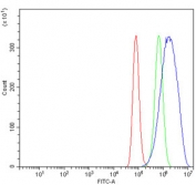 Flow cytometry testing of human A549 cells with FKBP10 antibody at 1ug/million cells (blocked with goat sera); Red=cells alone, Green=isotype control, Blue= FKBP10 antibody.