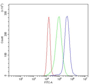 Flow cytometry testing of human JK-1 cells with FKBP15 antibody at 1ug/million cells (blocked with goat sera); Red=cells alone, Green=isotype control, Blue= FKBP15 antibody.